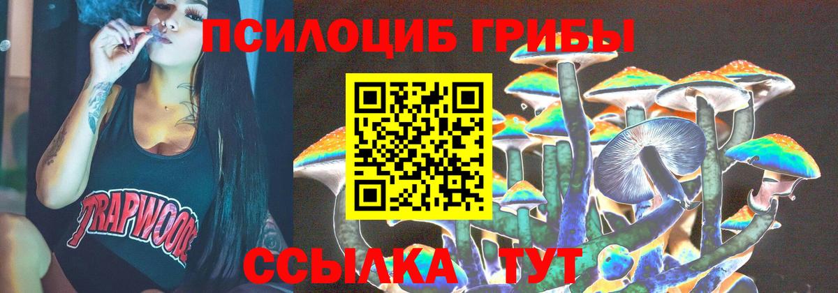 Псилоцибиновые грибы Psilocybine cubensis Северобайкальск