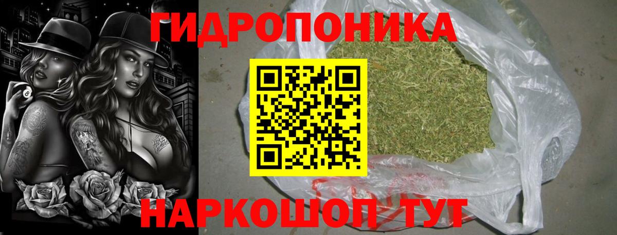 Бошки Шишки марихуана Северобайкальск